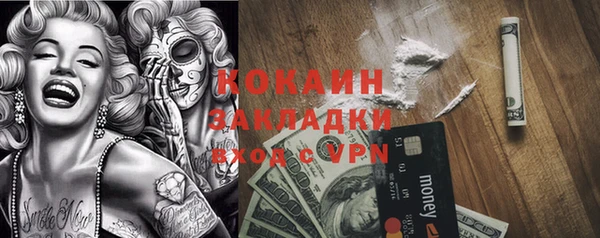 шишки Алзамай