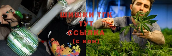 шишки Алзамай