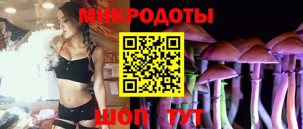 Чебаркуль  Псилоцибиновые грибы Cubensis  Вход с VPN 