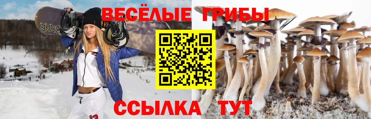 Галлюциногенные грибы Magic Shrooms Чебаркуль